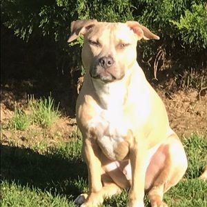 Meet your Posher, Robert